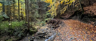 Półrzeczki ↔ Pod Krzystonowem