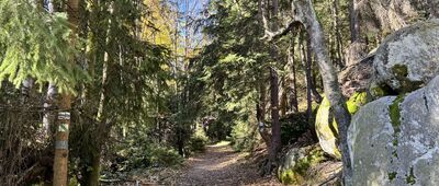 Obejście Szczelińca Małego