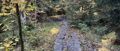 Szczeliniec Wielki, parking