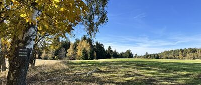 Pasterka, skrzyżowanie szlaków ↔ Pod Pasterską Górą