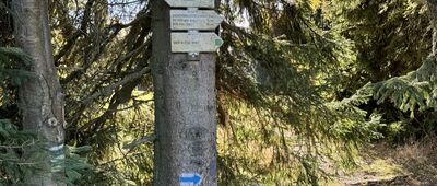 Pod Pasterską Górą