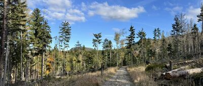 Nad Cvičnou skálou ↔ Pod Ostrą Górą