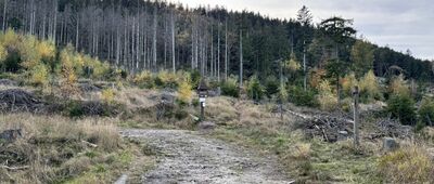 Nad Cvičnou skálou