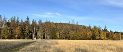 Zielona Droga ↔ Pasterskie Łąki