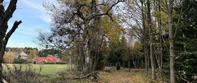 Pasterskie Łąki ↔ Karłów