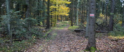 Przełęcz Karczmarka ↔ Wesołówka