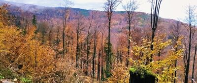 Bystra Krakowska ↔ Schronisko PTTK Klimczok