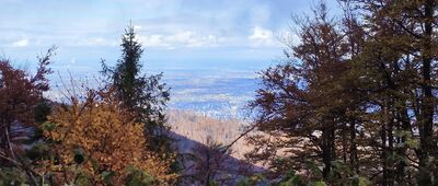 Pod Klimczokiem, odejście szlaku czerwonego ↔ Przełęcz pod Klimczokiem