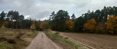 Grudziądz ↔ Parski