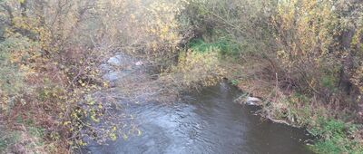 Parski ↔ Zakurzewo