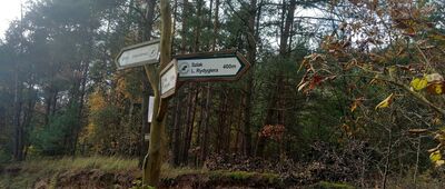 Ścieżka na punkt widokowy