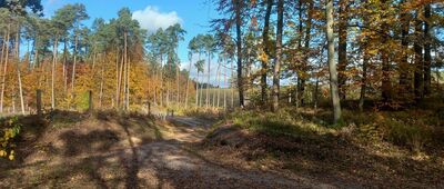 Rozejście szlaków ↔ Gardeja