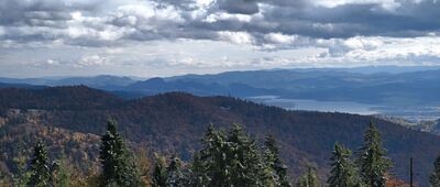 Bukowina Miejska ↔ Wisielakówka