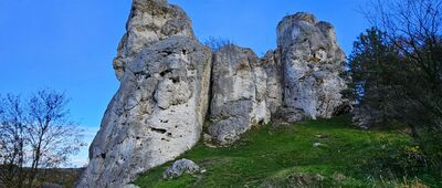 Wielka Góra ↔ Przewodziszowice, rozejście szlaków