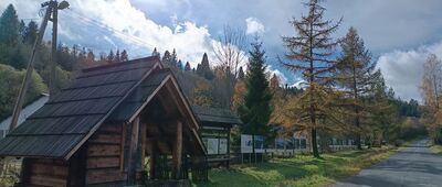 Tarnawa Niżna, sklep