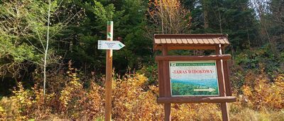 Filary dawnej kolejki wąskotorowej