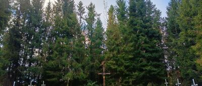 Bukowiec, cmentarz z I wojny światowej