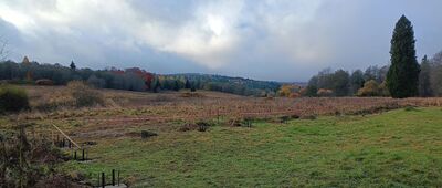 Bukowiec, dawny cmentarz