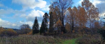 Bukowiec, dawny cmentarz