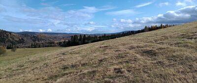 Łącznik do ścieżki pieszo-rowerowej ↔ Świetlikowe