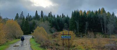 Bukowiec, cmentarz z I wojny światowej ↔ Bukowiec, parking