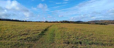 Łącznik do ścieżki pieszo-rowerowej