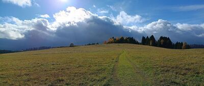 Łącznik do ścieżki pieszo-rowerowej