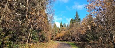 Schron nad Negrylowem