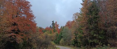 Schron nad Negrylowem ↔ Wiata wypoczynkowa pod Czystym Wierchem