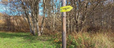 Torfowisko Tarnawa, parking ↔ Torfowisko Tarnawa