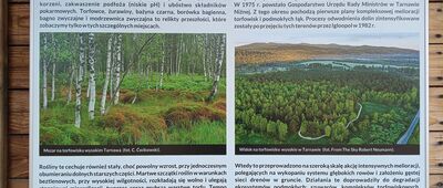 Torfowisko Tarnawa, parking