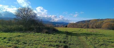 Dźwiniacz Górny ↔ Dźwiniacz Górny, cmentarz