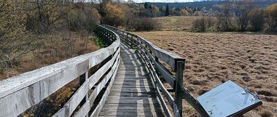 Torfowisko Tarnawa, parking ↔ Torfowisko Tarnawa