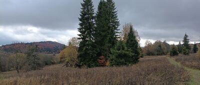 Punkt wypoczynkowy z widokiem na Sianki ↔ Źródła Sanu