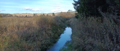 Rozejście szlaku ↔ Dźwiniacz Górny