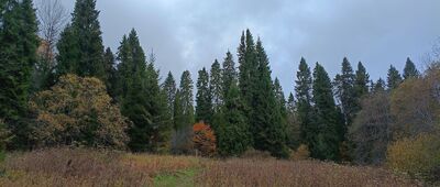 Grób Hrabiny ↔ Punkt wypoczynkowy z widokiem na Sianki