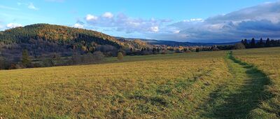 Łącznik do ścieżki pieszo-rowerowej ↔ Rozejście szlaku