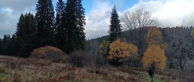 Ruiny folwarku Stroińskich ↔ Grób Hrabiny