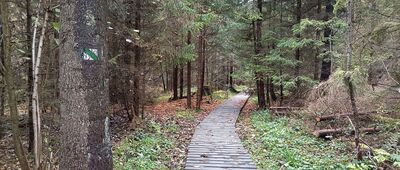 Wiata wypoczynkowa pod Czystym Wierchem ↔ Ruiny folwarku Stroińskich