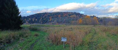 Tarnawa Niżna ↔ Łącznik do ścieżki pieszo-rowerowej