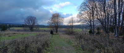 Cerkwisko w Beniowej