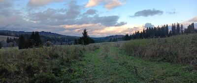 Bukowiec, parking ↔ Cerkwisko w Beniowej