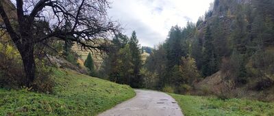 Rezerwat Biała Woda