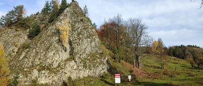 Rezerwat Biała Woda, Zapustek