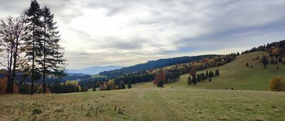 Przełęcz Rozdziela, odejście szlaku żółtego