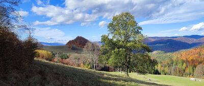 Baza namiotowa Pod Wysoką ↔ Polana pod Wysoką