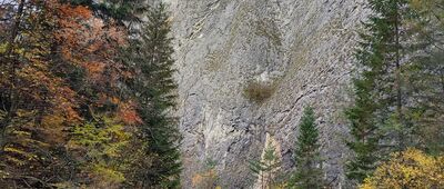 Ujście Leśnickiego Potoku ↔ Chata Pieniny