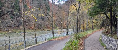 Ujście Leśnickiego Potoku ↔ Szczawnica TPG
