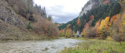 Szczawnica TPG ↔ Przeprawa pod Sokolicą