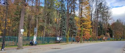 Szczawnica, PKS [Park Dolny w Szczawnicy]